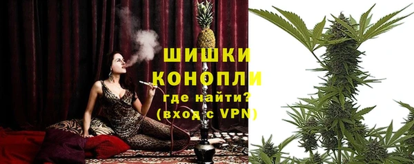 дмт Верея