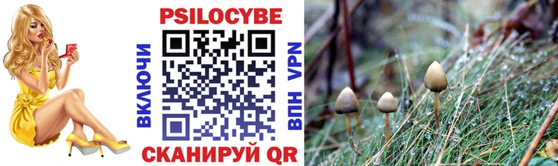 Галлюциногенные грибы GOLDEN TEACHER  площадка как зайти  Гагарин  купить наркоту 
