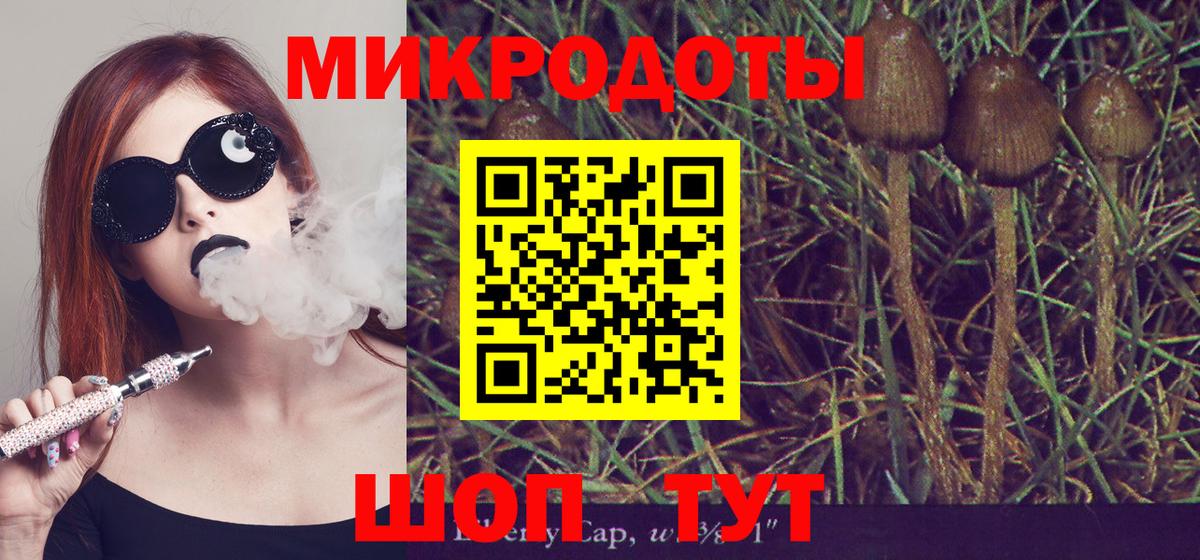 Галлюциногенные грибы Cubensis Гагарин