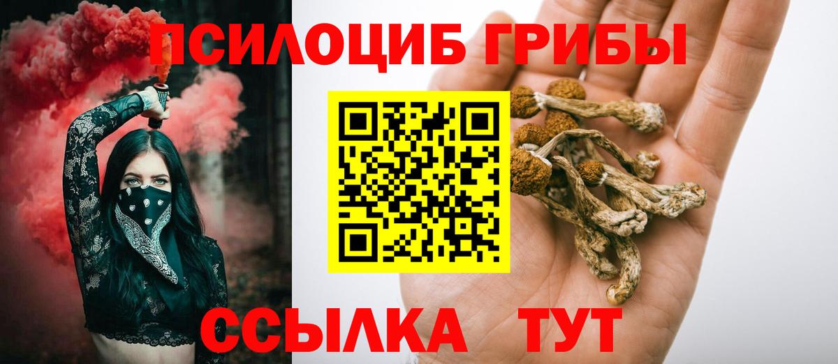 Гагарин  Псилоцибиновые грибы мицелий  Вход с VPN  как найти закладки  Галлюциногенные грибы Psilocybine cubensis 