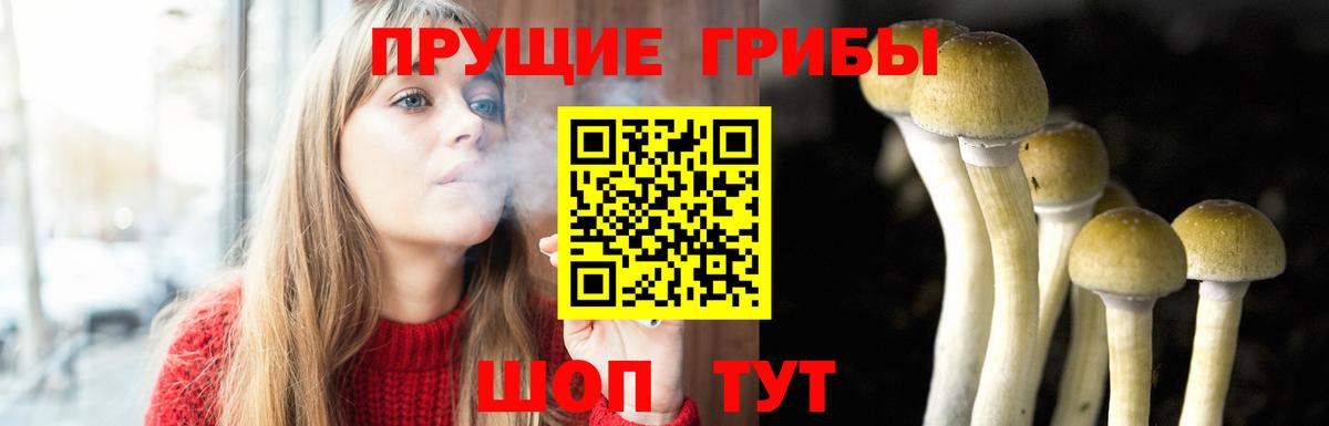 Псилоцибиновые грибы Magic Shrooms  Галлюциногенные грибы Cubensis  Гагарин 