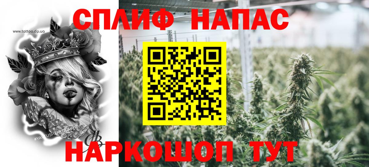 Конопля план Гагарин
